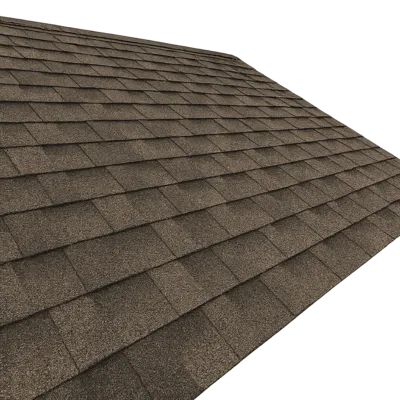 Understanding Shingle Roof Replacement Costs in Seattle