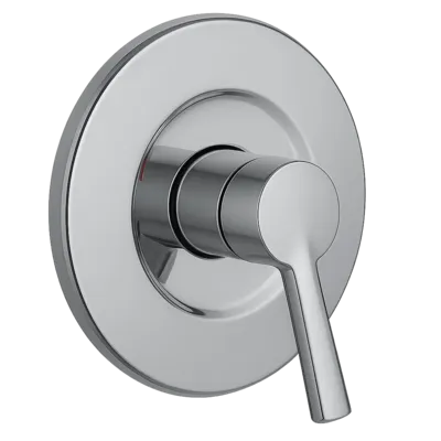 Seattle Shower Valve Replacement: Essential Tips for Homeowners